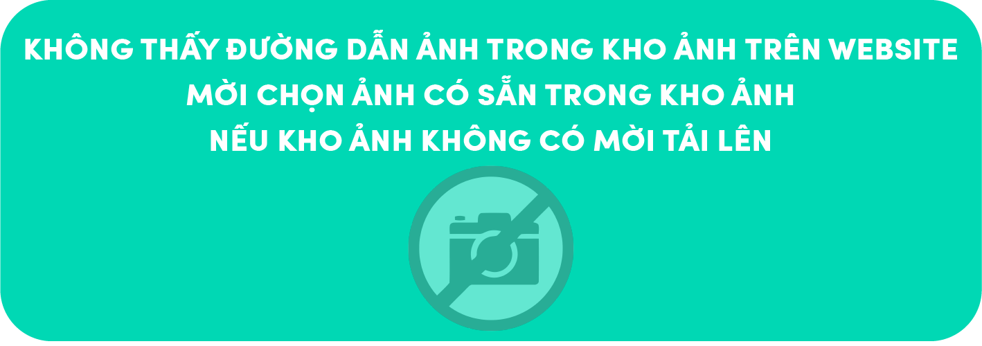 Quân Vương có mức giá cọc nhồi bê tông cạnh tranh